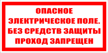 S13 опасное электрическое поле. без средств защиты проход запрещен (пластик, 200х100 мм) - Знаки безопасности - Знаки по электробезопасности - ohrana.inoy.org